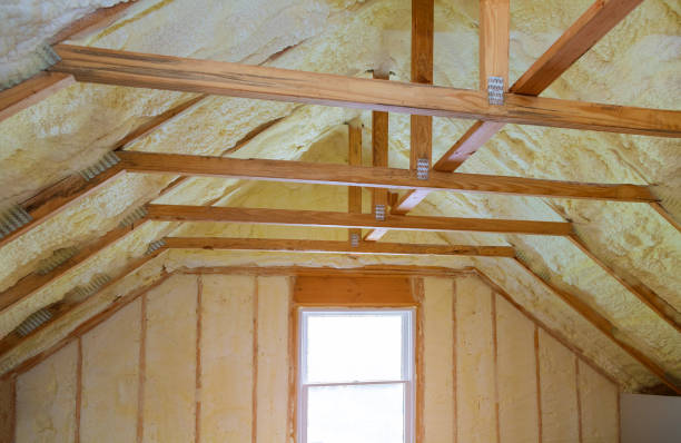 Best Fiberglass Insulation in Dahlone, GA