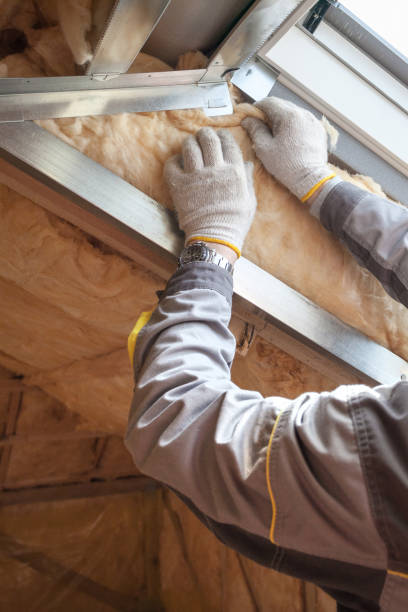 Best Insulation for Specific Applications in Dahlone, GA