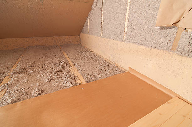 Best Eco-Friendly Insulation in Dahlone, GA